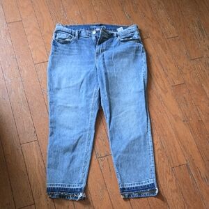 Old Navy Blue Ankle Cropped Jeans